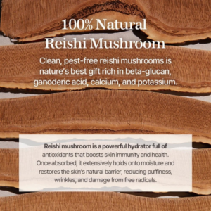 Mixsoon Reishi Mushroom Essence Προσώπου 100ml